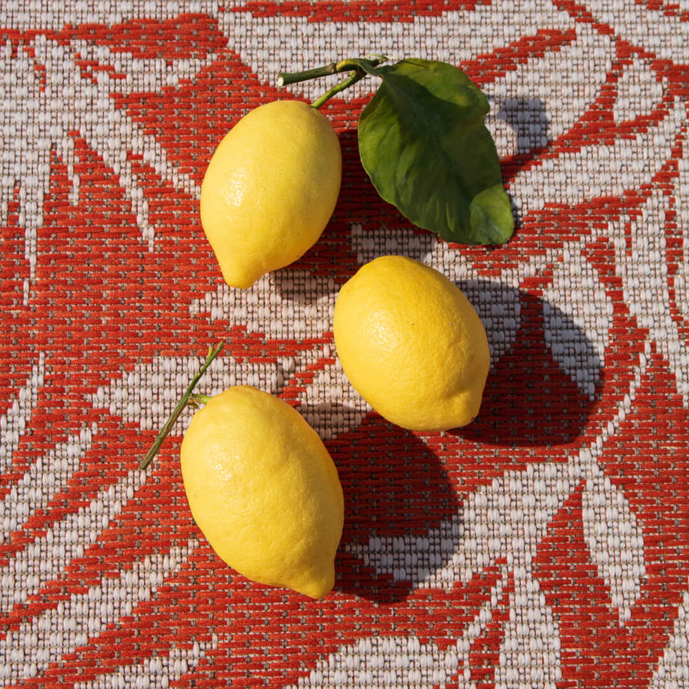 
                      
                        Leaves orange
                      
                    